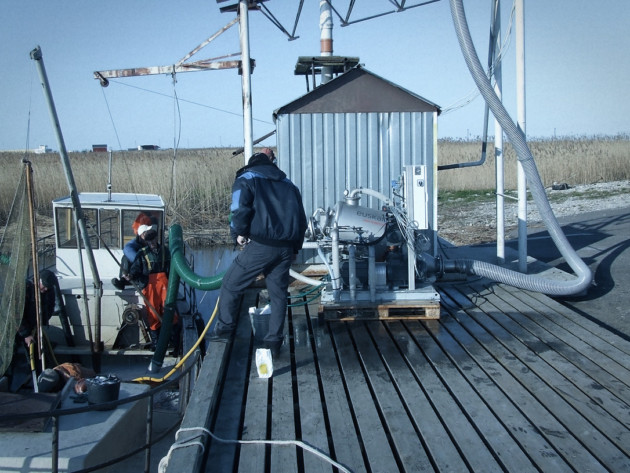 VS250 single tank system for unloading Sprats