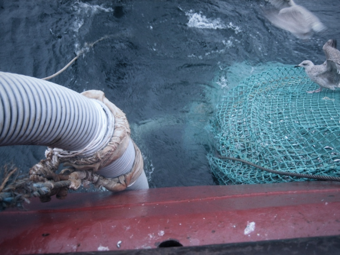 System data: Euskan VS500 single tank vacuum system – 8”/6” Power installed: 1 x 11 kW Capacity: Up to 40 Ton of fish / hour – depending on working conditions