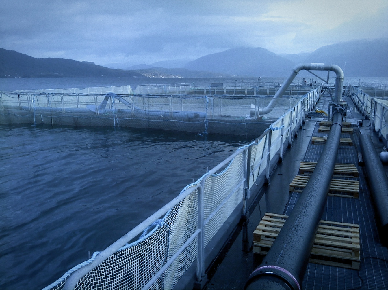 VSB3000 double tank system for pumping Salmon with suction arm2_DxO VSB3000 double tank system for pumping Salmon with suction arm