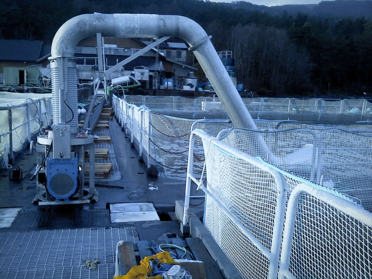 VSB3000 double tank system for pumping Salmon with suction arm