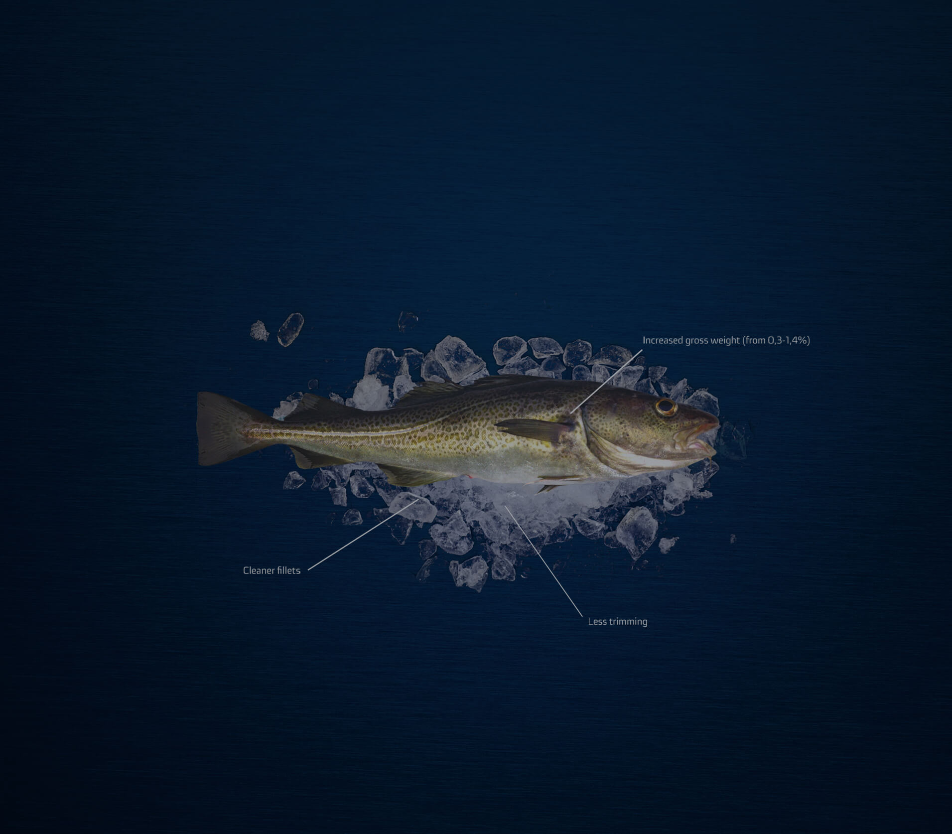 <b>Introducing</b><br>OPTI-TRIM