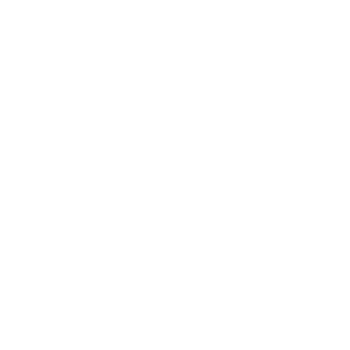 v copy 4 digital upgrade for fish processing machines